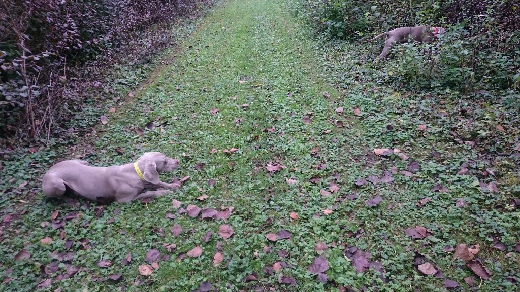 photo chasse de 2017